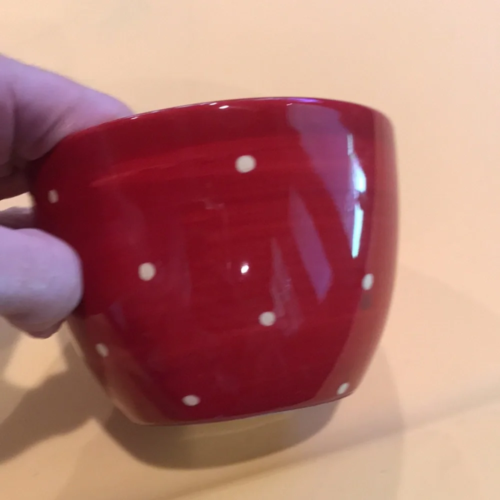 Pier 1 Bowls Hand Painted Earthenware Owl Bowl & Red Bowl